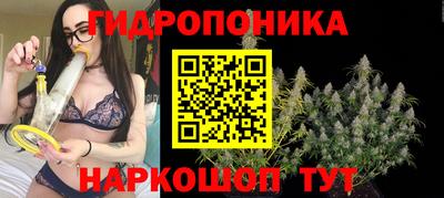 spice Кингисепп