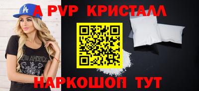 spice Кингисепп