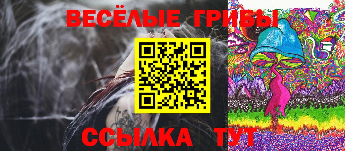 Псилоцибиновые грибы Cubensis  Галлюциногенные грибы Psilocybe  Волхов  Вход с VPN 
